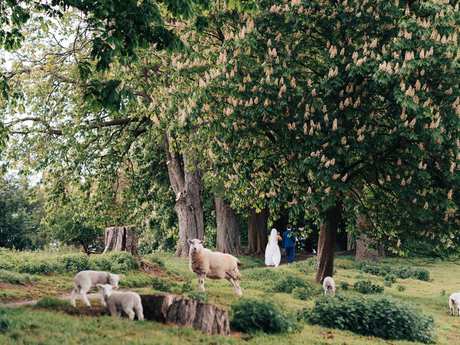 Outdoor wedding photography by Tom Durn wedding photographer